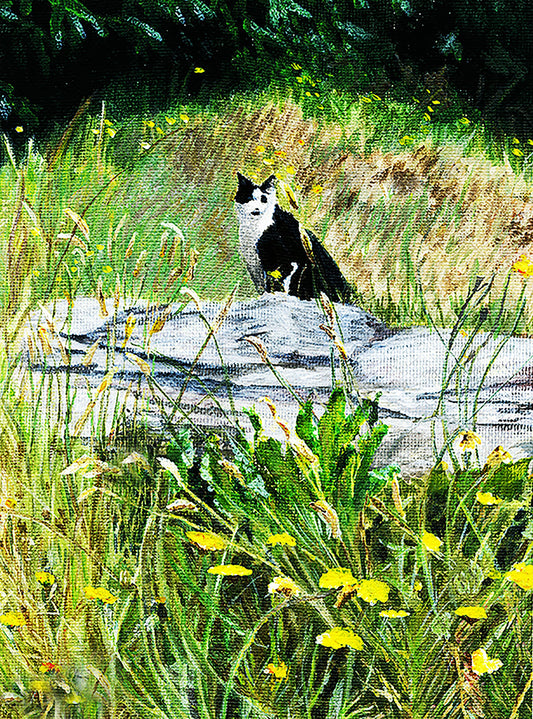 'A Quiet Moment' Cat Greeting Card
