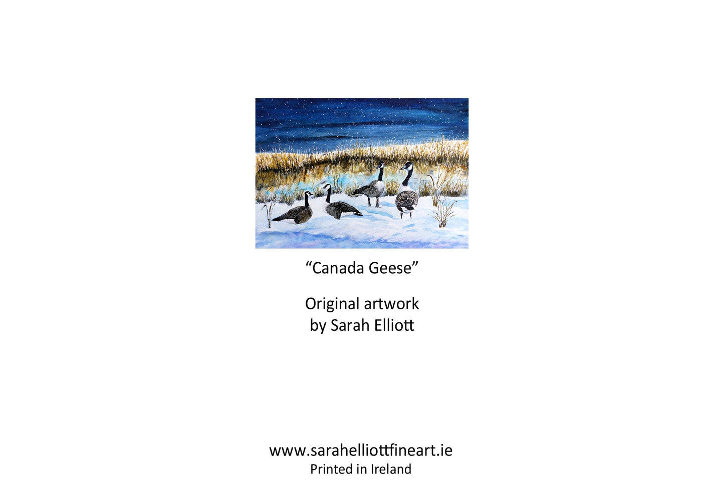 'Canada Geese' Winter Nature Greeting Card