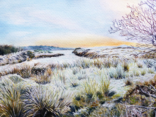 Frosty landscape with grass and trees at sunrise or sunset