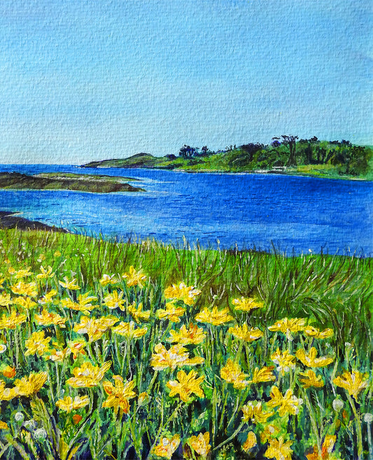 'Golden' Seascape Greeting Card – Marguerite Daisies