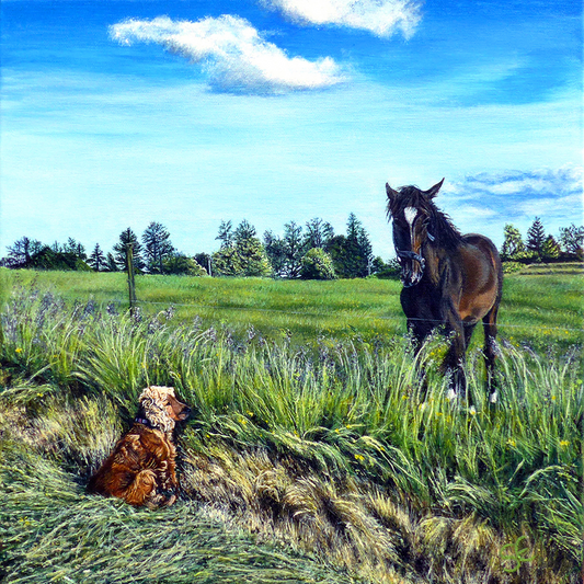 'Lucy's Compromise' Greeting Card
