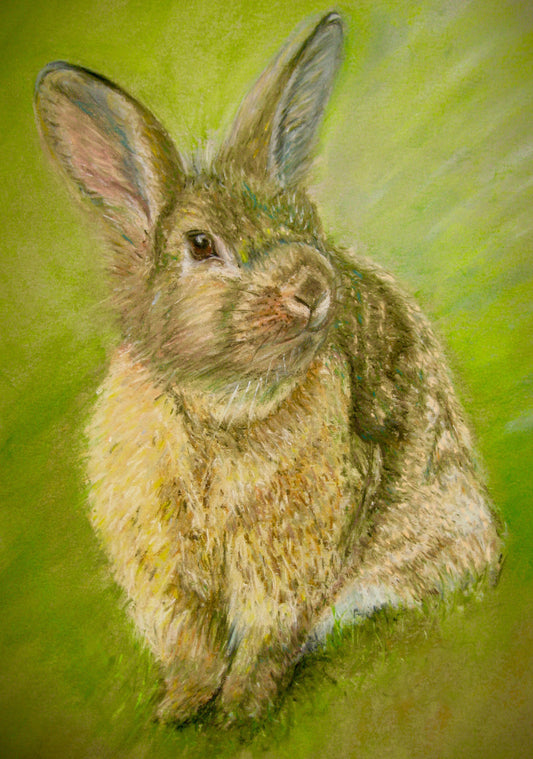 'Sunny Bunny' Rabbit Greeting Card