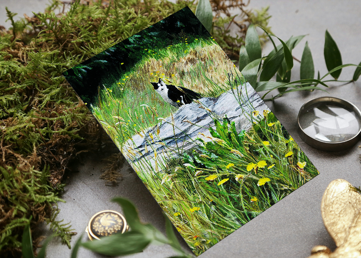 'A Quiet Moment' Cat Greeting Card