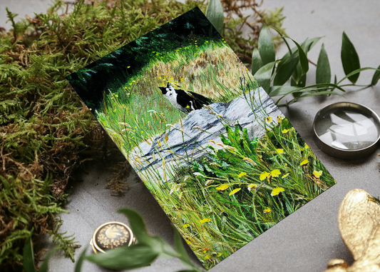 'A Quiet Moment' Cat Greeting Card