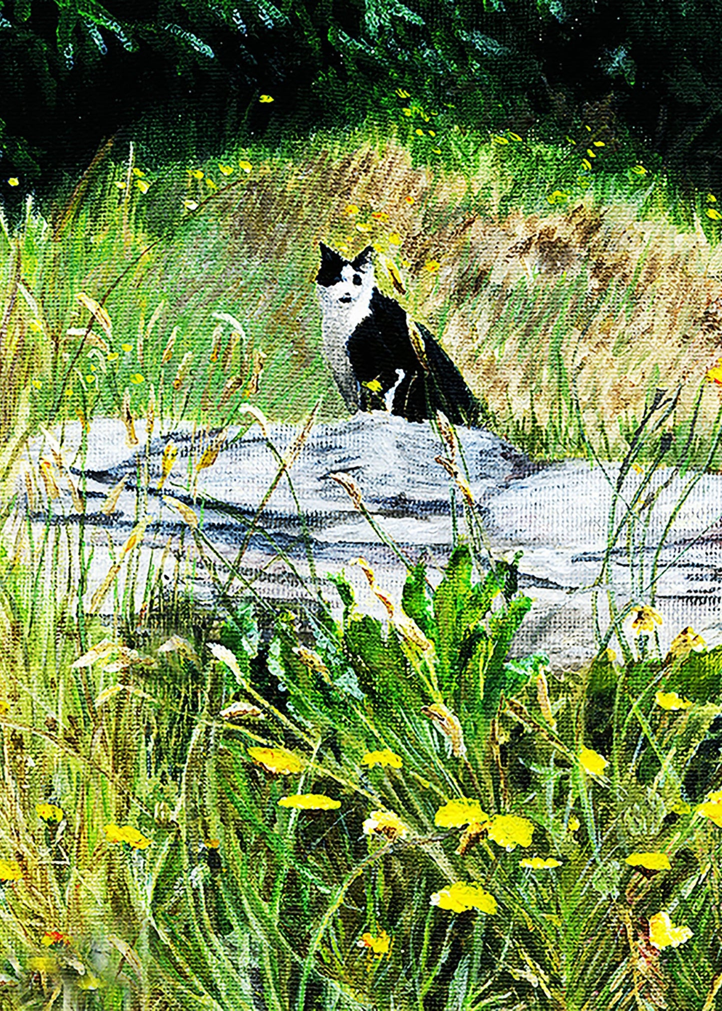 Black and white cat sitting on a log in a grassy field with yellow flowers