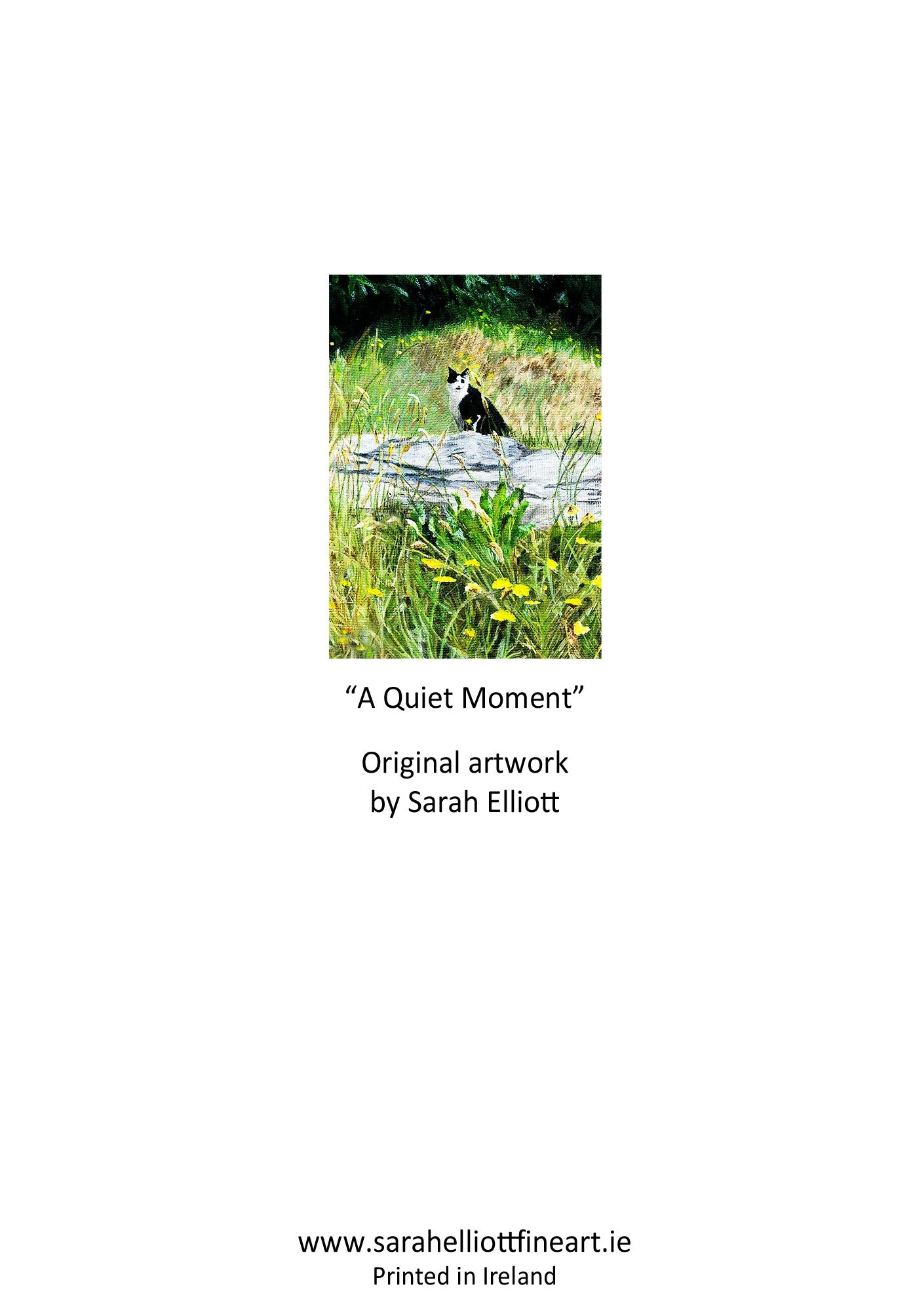 'A Quiet Moment' Cat Greeting Card