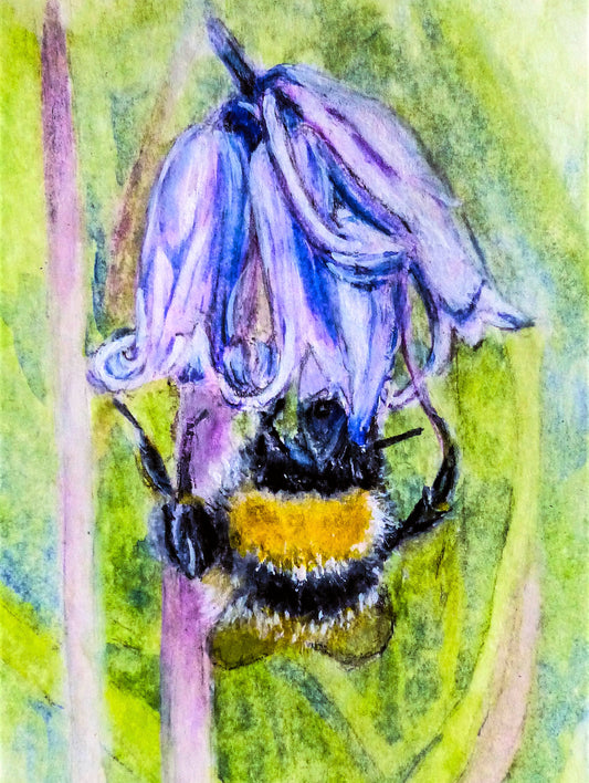 'Bluebells and bee' Nature Greeting Card