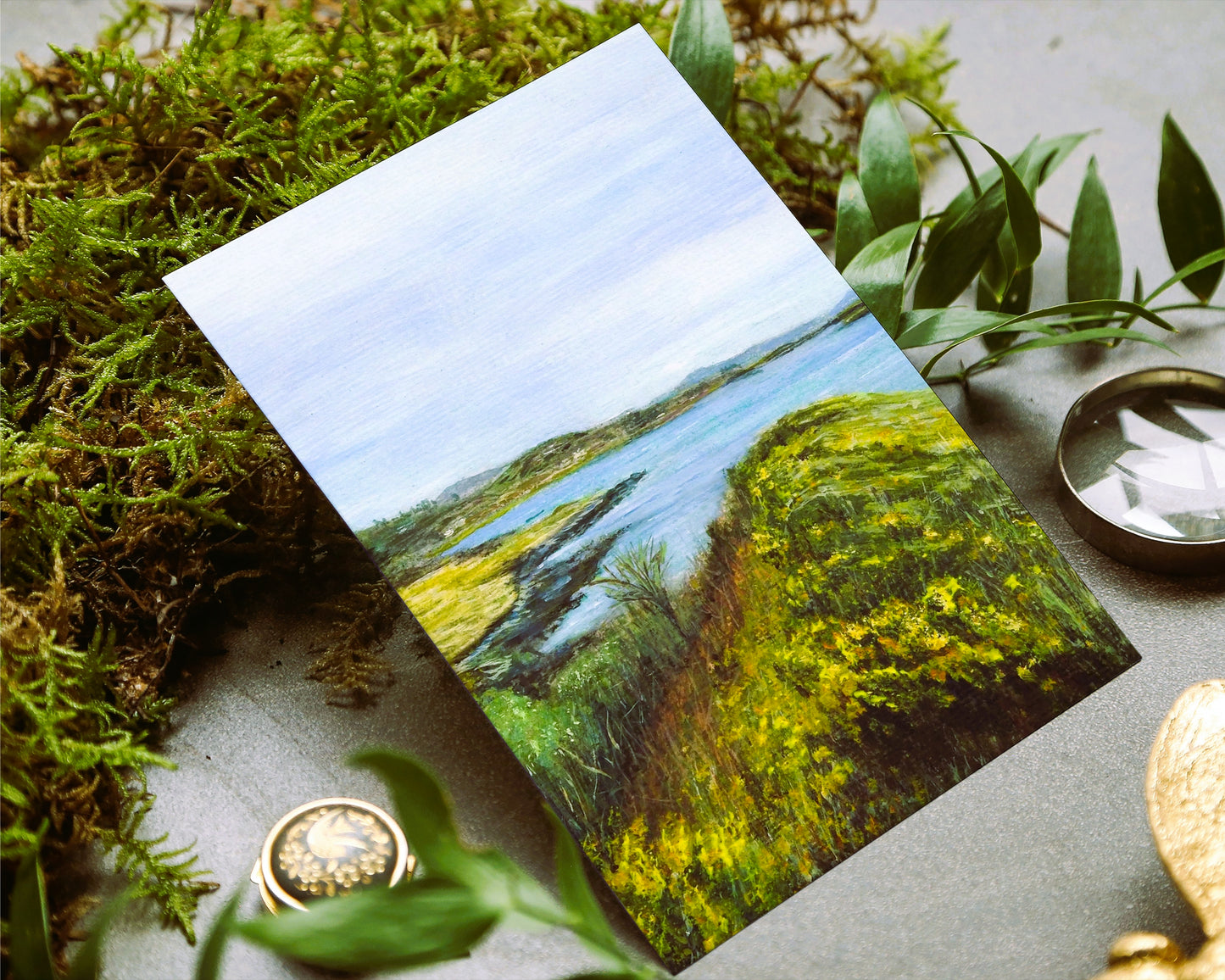 'Coastal Gorse' Irish Greeting Card