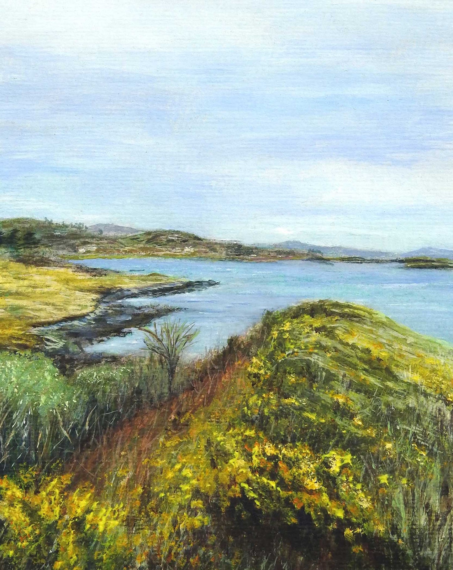 'Coastal Gorse' Irish Greeting Card