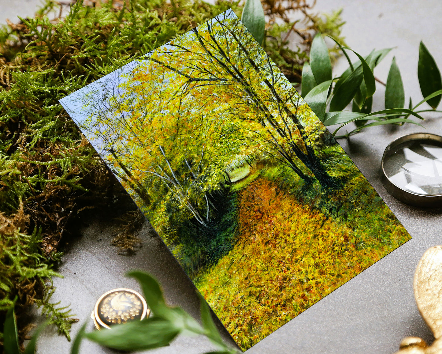 'Fall of leaves' Autumnal Greeting Card