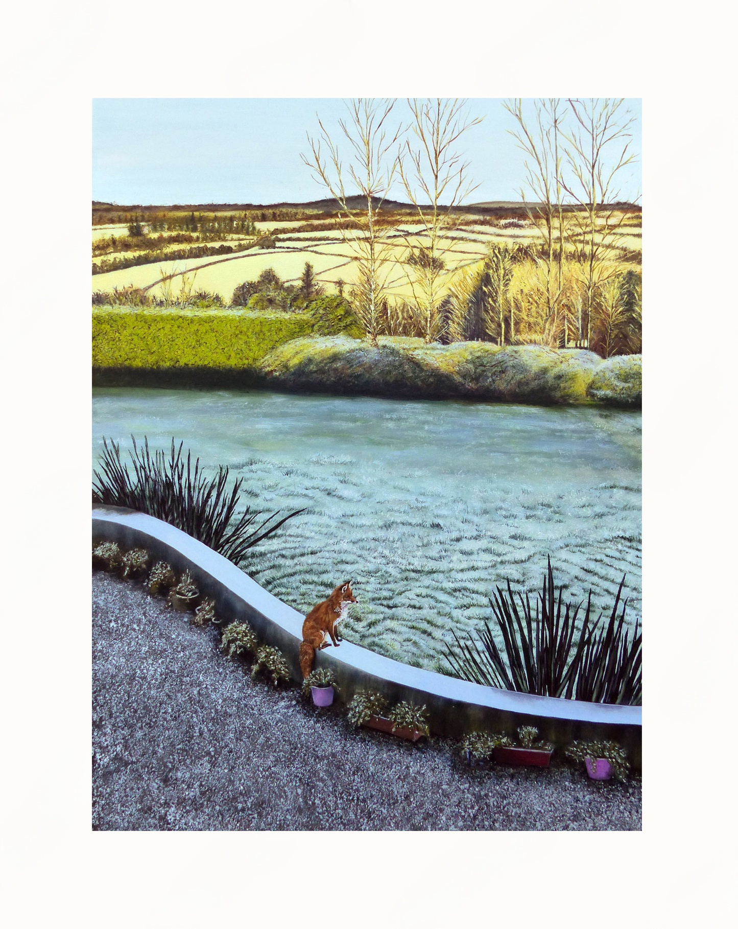Mounted print of an Irish landscape featuring a fox on a wall overlooking a wintery garden with distant trees and fields
