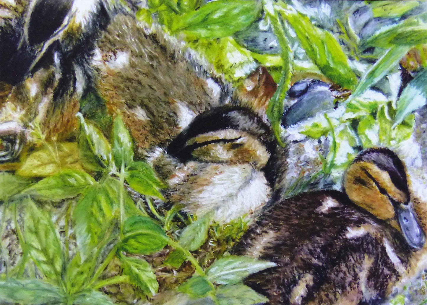 'Glade Ducklings' Greeting Card