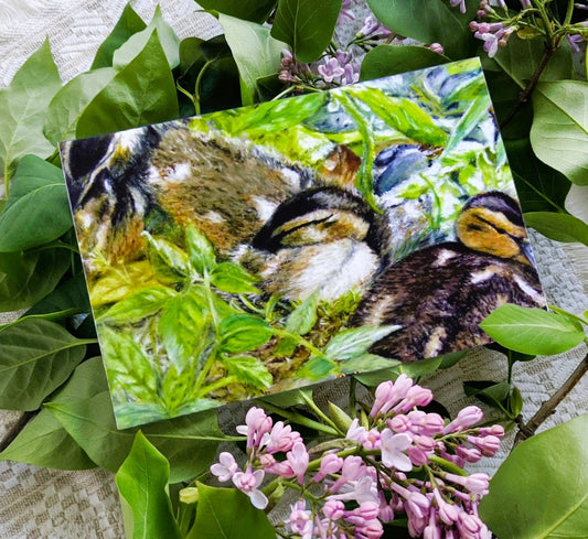 'Glade Ducklings' Greeting Card