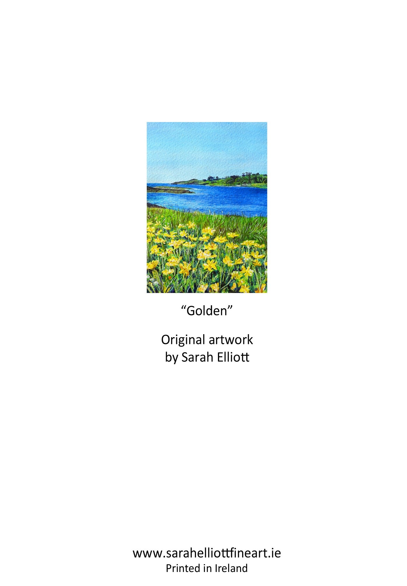 'Golden' Seascape Greeting Card – Marguerite Daisies