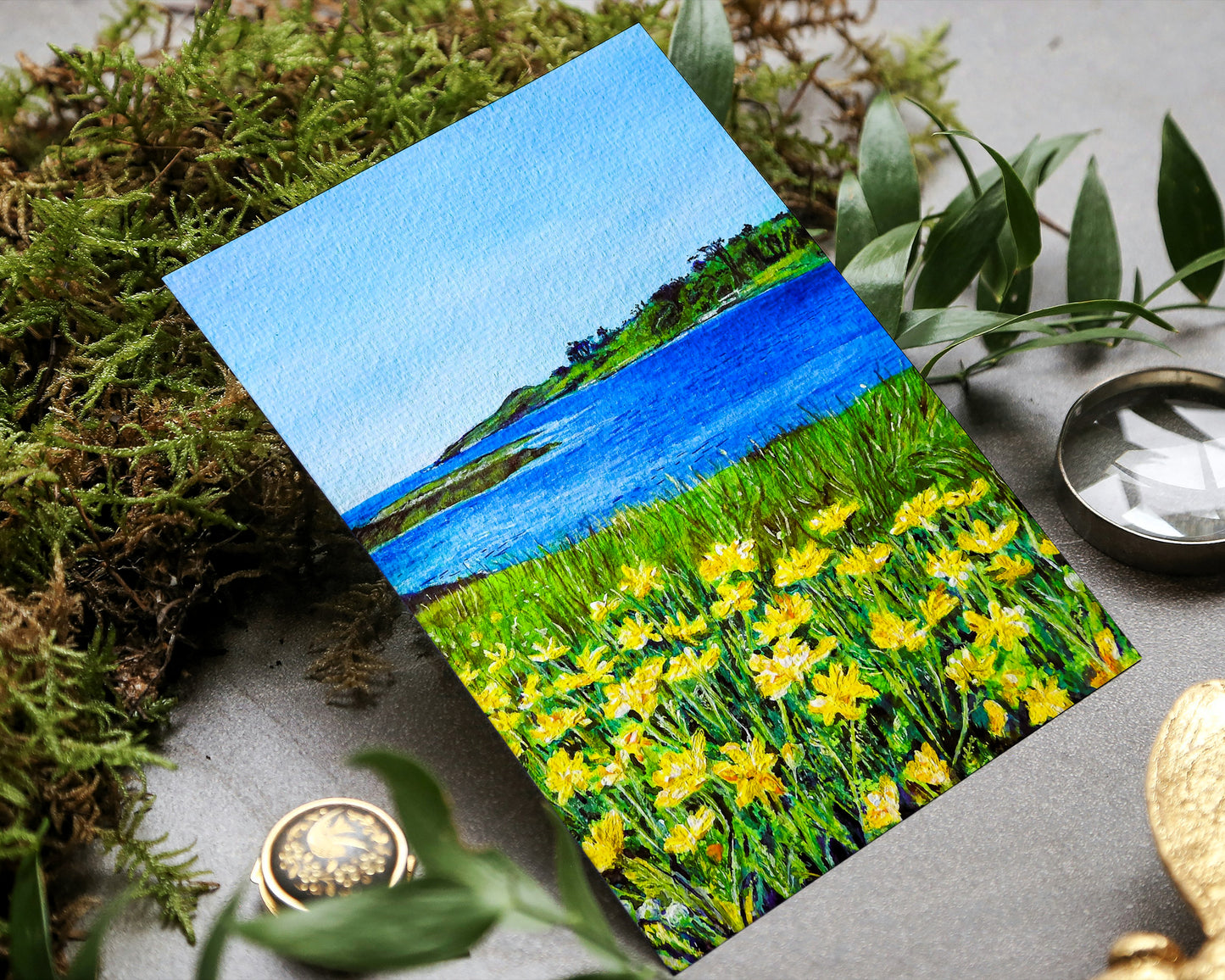 'Golden' Seascape Greeting Card – Marguerite Daisies