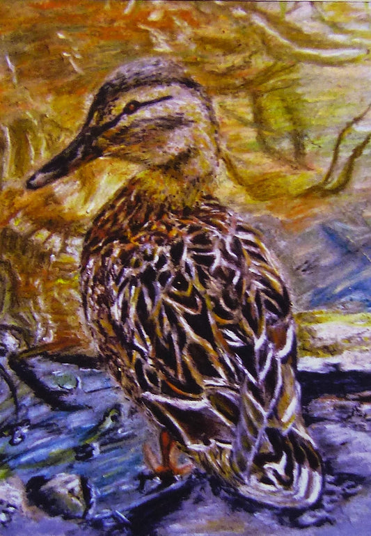 'Mummy Duck' Nature Greeting Card