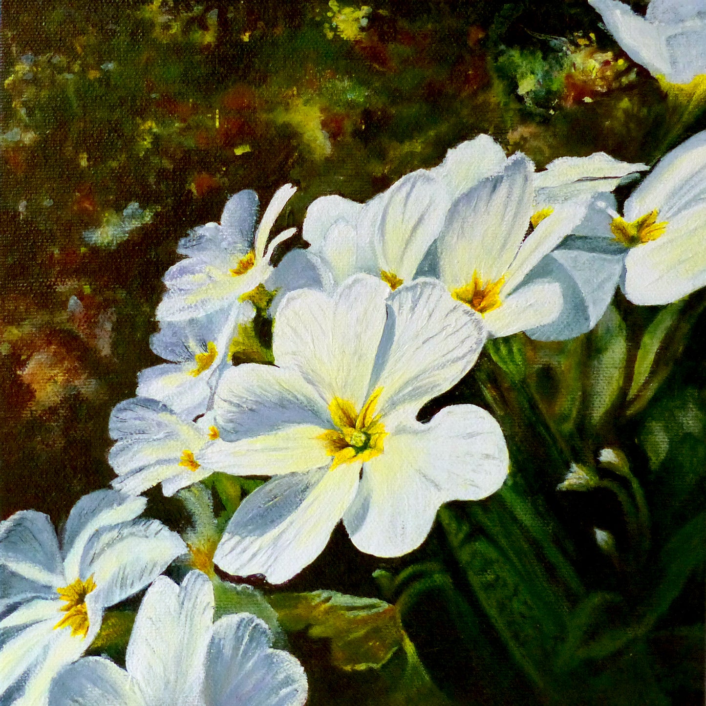 'Wild Primroses' Flower Greeting Card