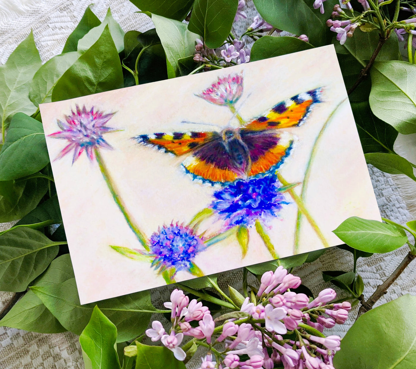 'Small Tortoiseshell' Butterfly Greeting Card