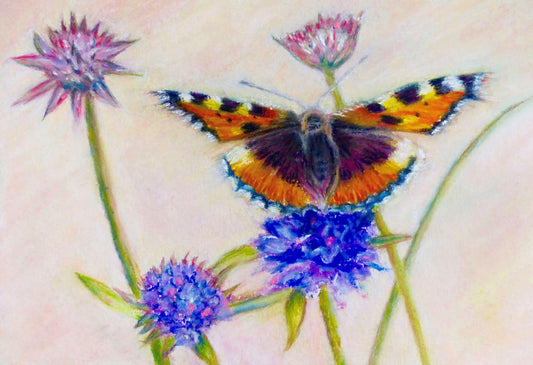 'Small Tortoiseshell' Butterfly Greeting Card