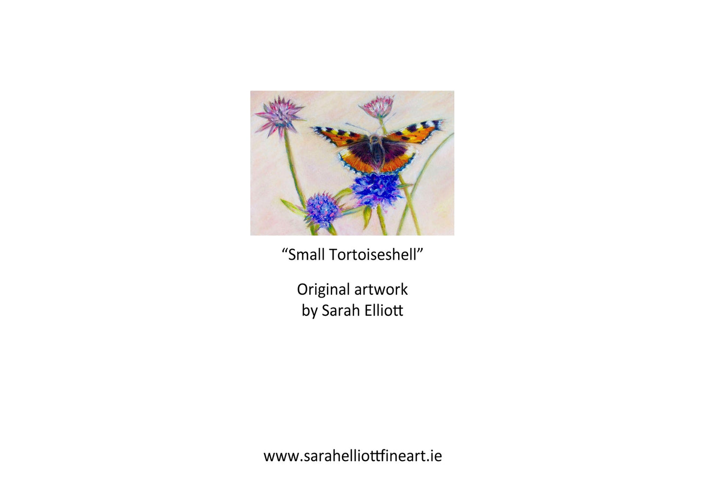 'Small Tortoiseshell' Butterfly Greeting Card