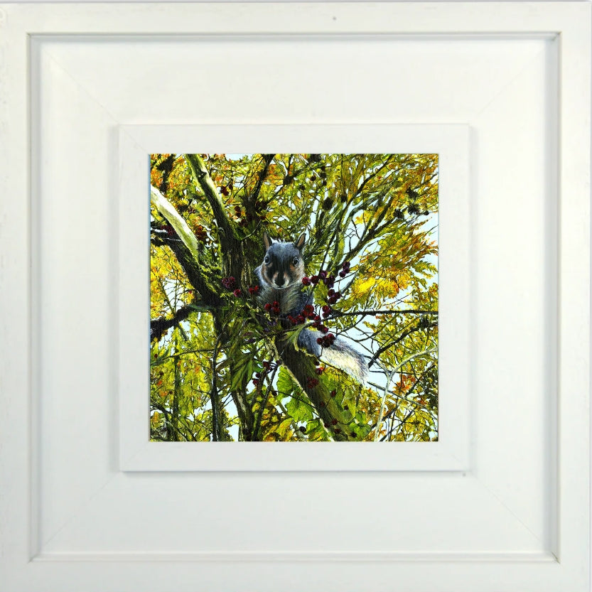 Framed artwork of a squirrel in a hawthorn tree with a white frame