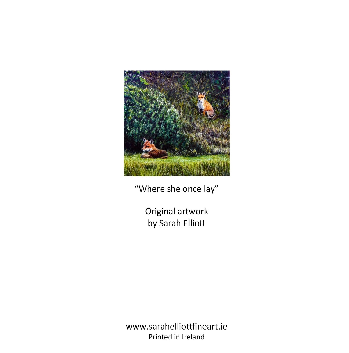 'Where she once lay' Foxes Greeting Card
