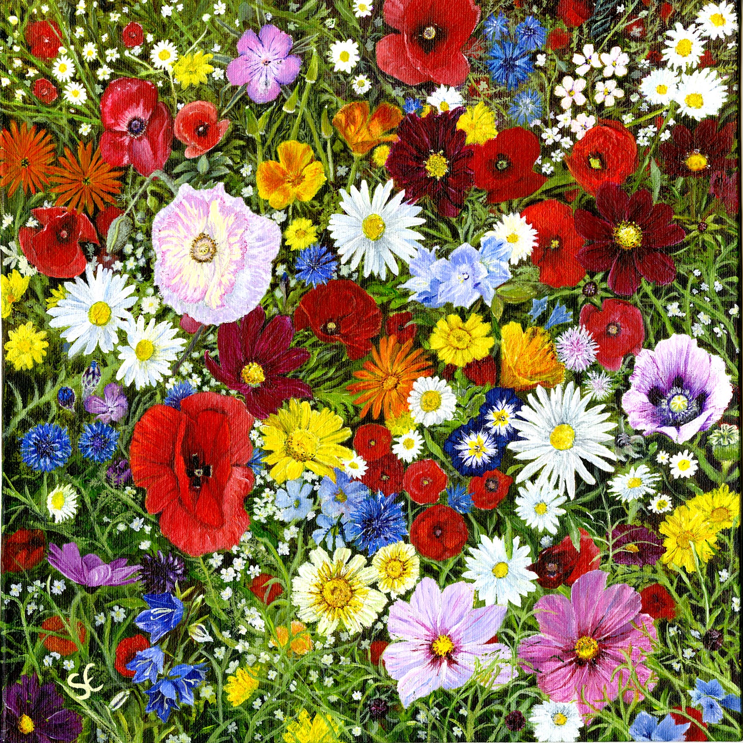 'Wonderfully Wild' Wildflower Greeting Card